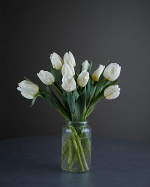 White Tulips