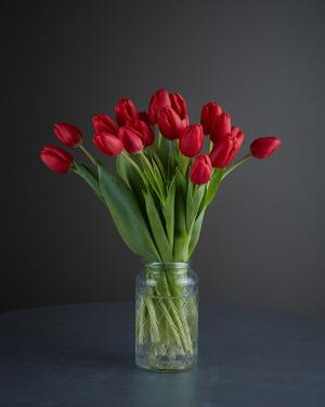 Dark Red Tulips