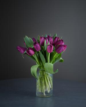 Purple Tulips