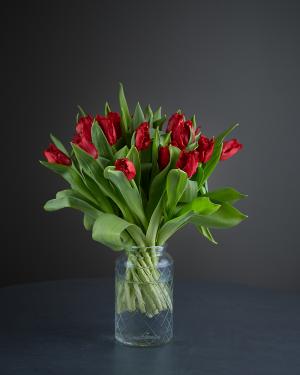 Red Tulips